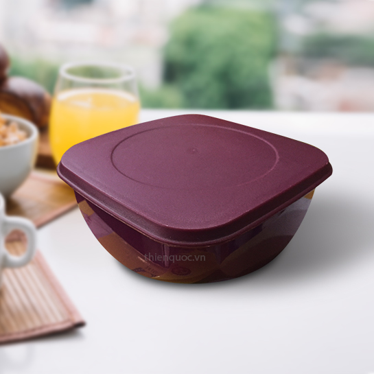 Plastic Box 5