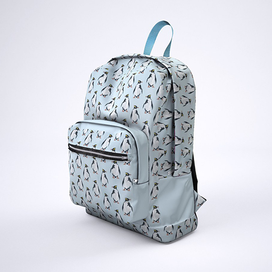 Backpack