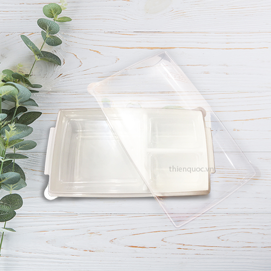 Plastic Box 4